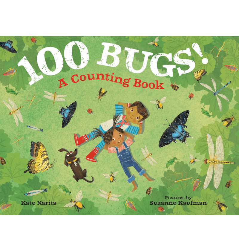100 bugs Counting Book For Kids