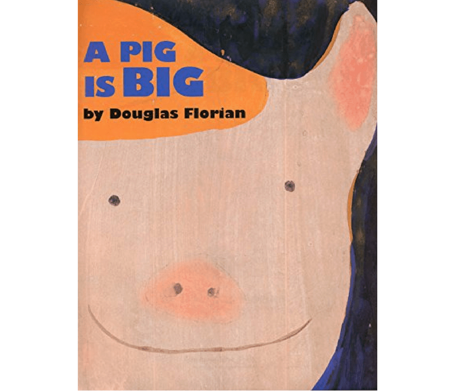A Pig is Big a children's book for teaching measuring