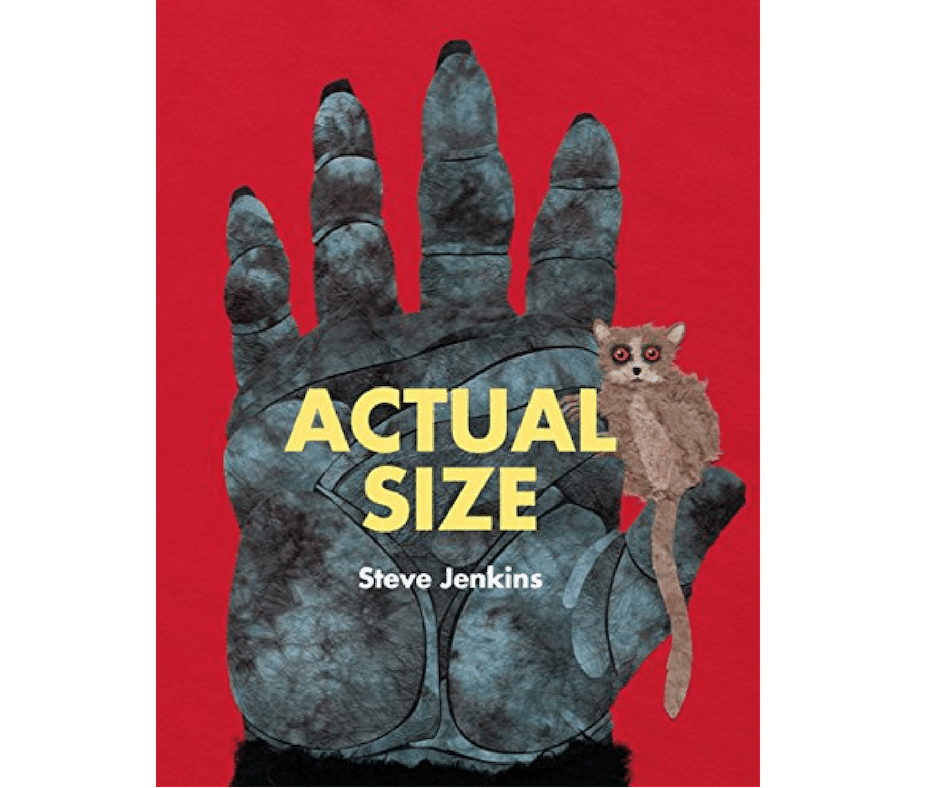 Actual Size a kids book about measurement