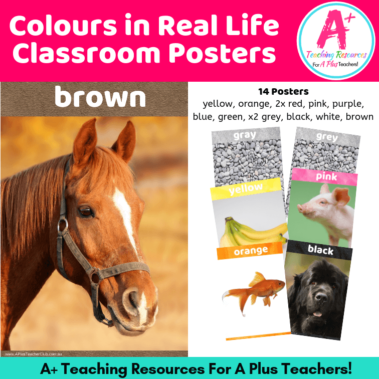 Learning Colours in Real Life classroom Posters Image